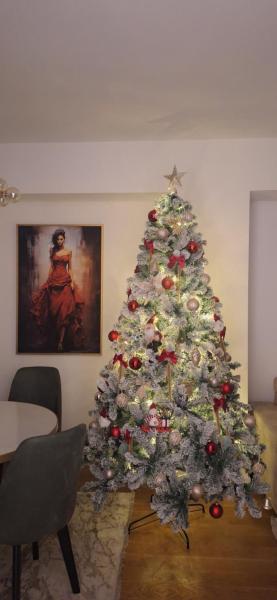Palata Gold Apartment